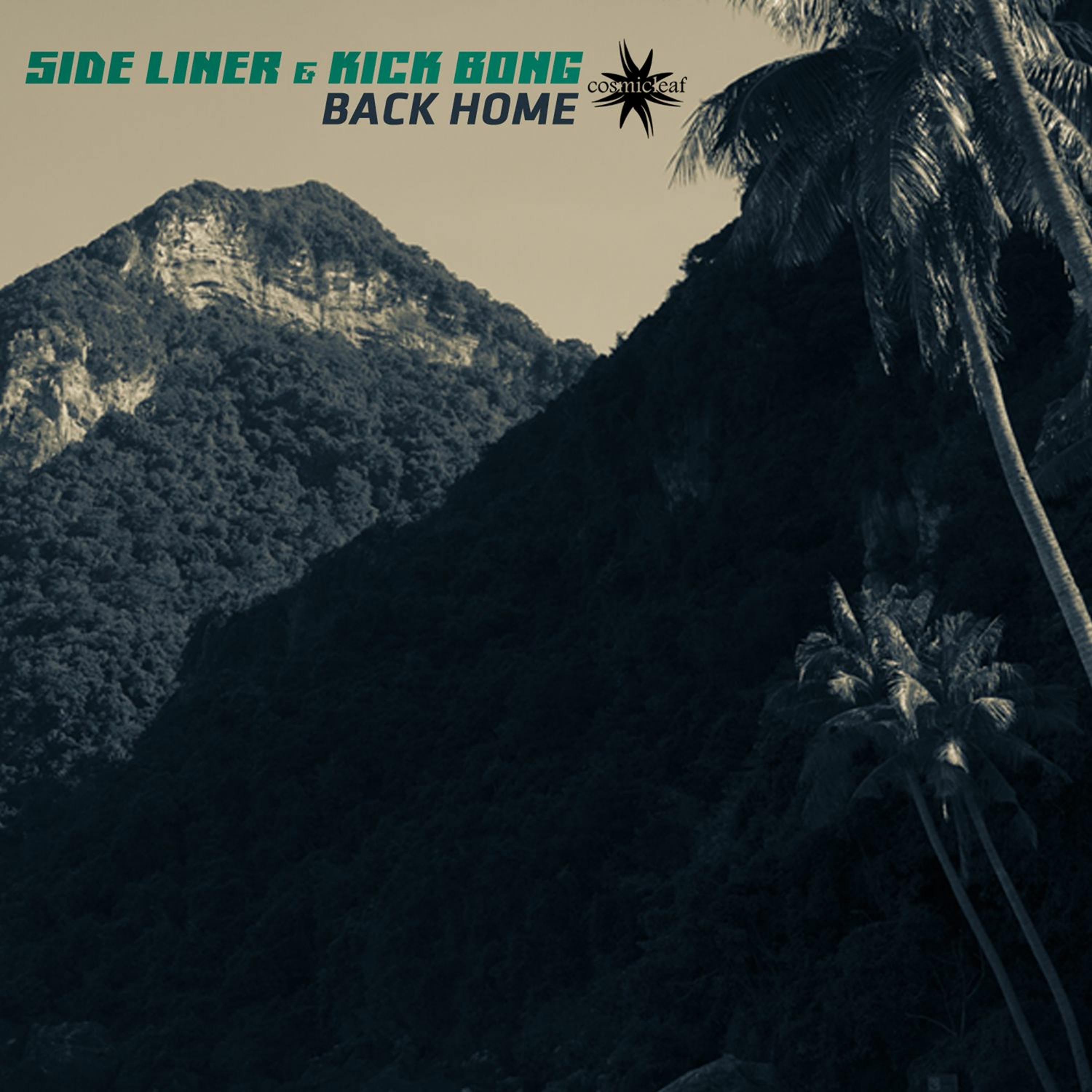 Side Liner (#downtempo) Renil Edis (#techno)