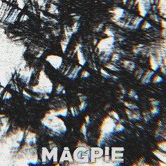 Dark Miracle - Magpie (NOISE ALBUM)