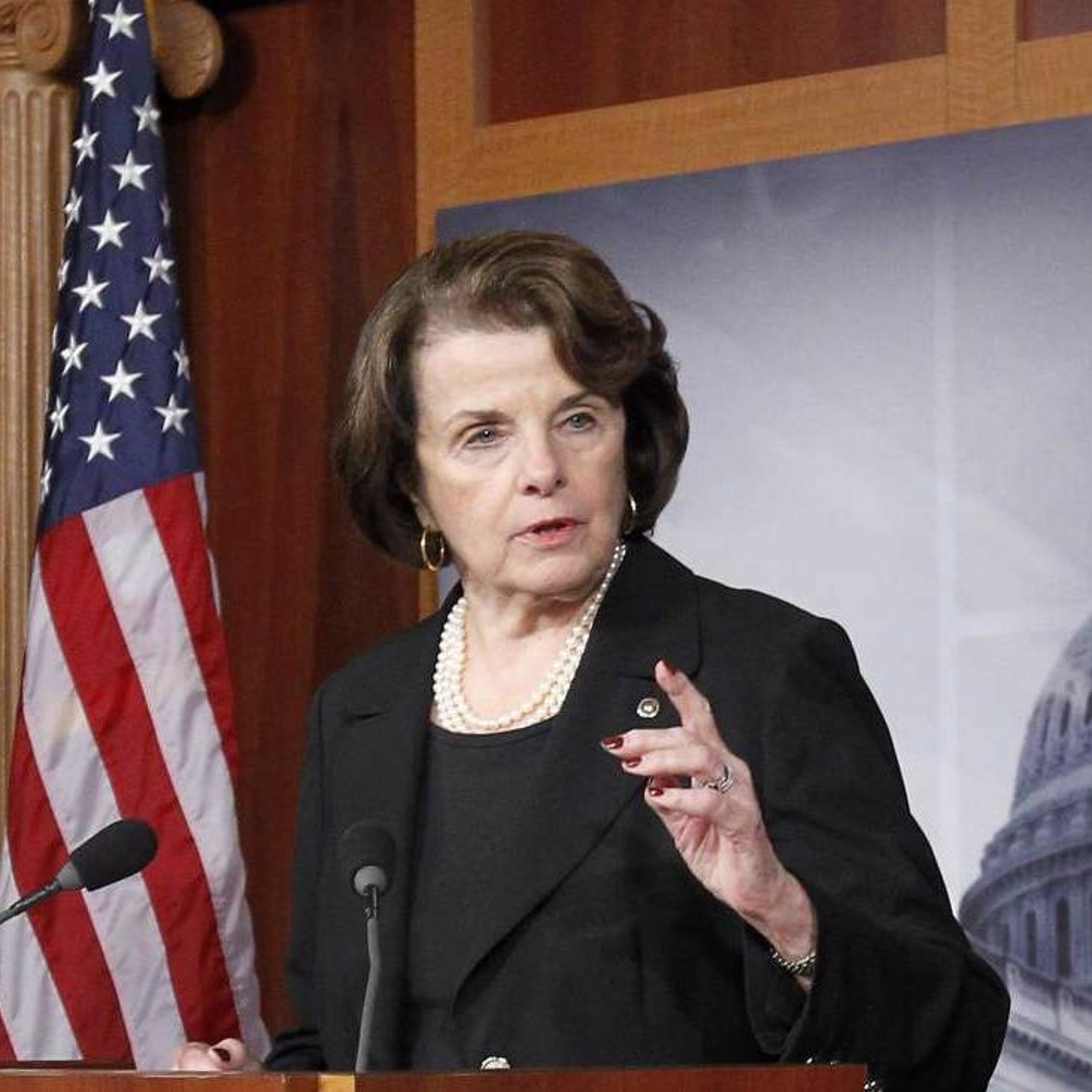 The Michelle Meow Show