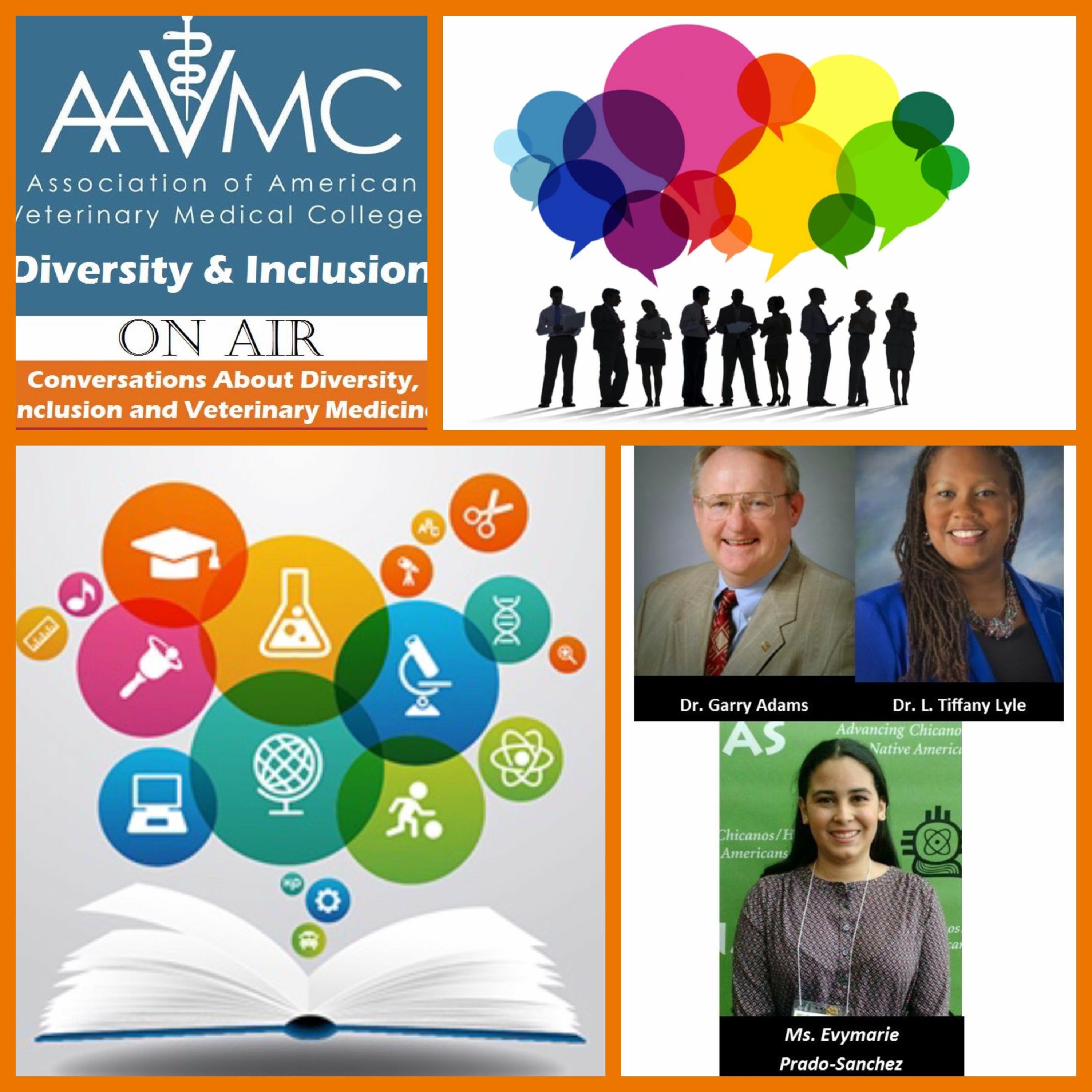 AAVMC\'s On Air: Conversations about Issues in Veterinary Medicine