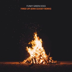 Fired Up! (ErikGussey Remix) - Funky Green Dogs