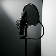 Sprecherin | Netzteil Podcast Intro