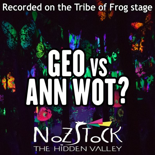 Geo & Ann Wot? - Recorded on the TRiBE of FRoG stage at Nozstock 2017