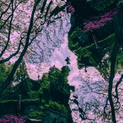 Irish Springs (prod. 4LX)