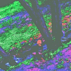 PERRY AVE - ASAP MOB, JADEN SMITH. SLABBED N BAGGED