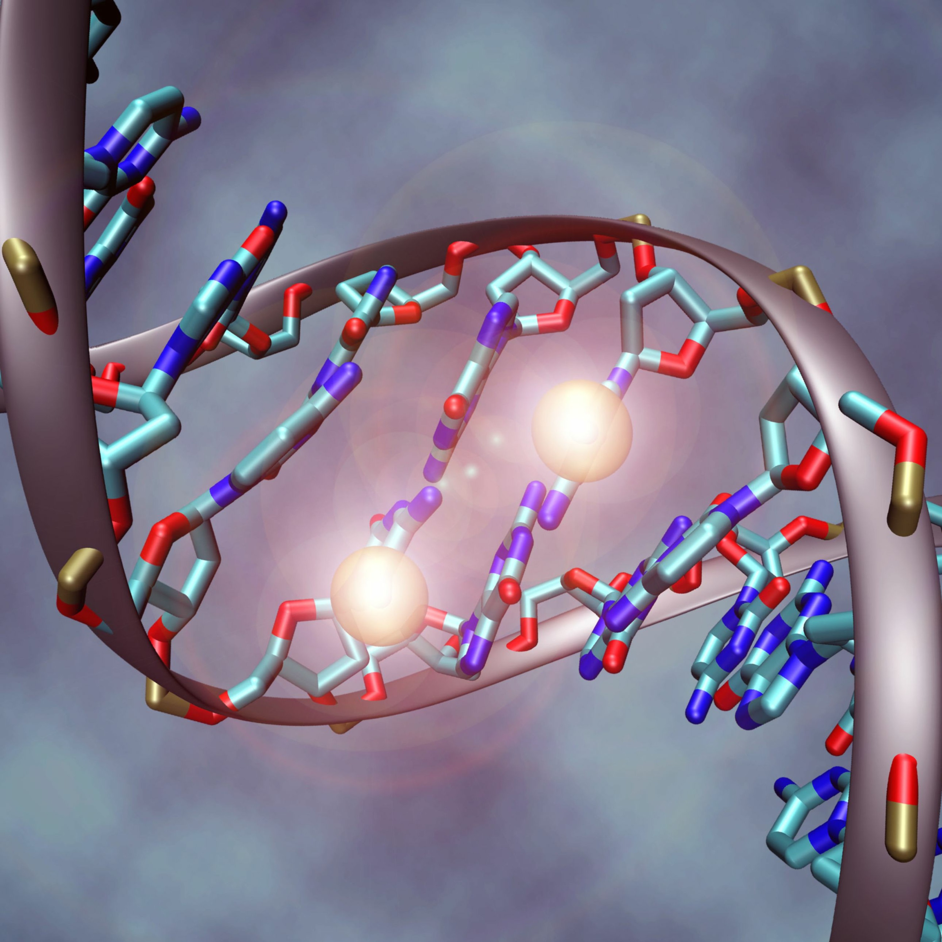 n=20 You’re more than what’s coded in your DNA