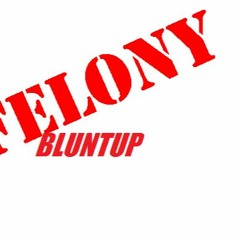 BluntUp xLil Outhie Felony