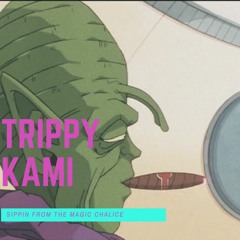 TRIPPY KAMI (Prod by KaiserBeatz)