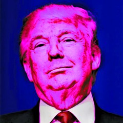 Impeach The President