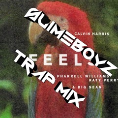 Feels Calvin Harris Remix