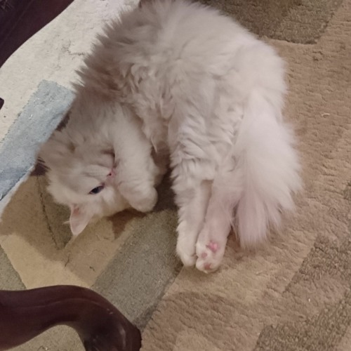 Cover -Every time we touch -by emma