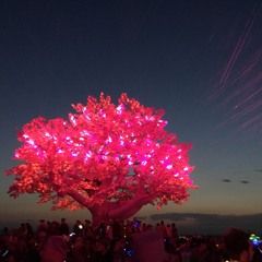 Him Again - Burn 2017 - late Thursday night