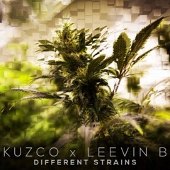Kusco & Leevin B - Different Strains