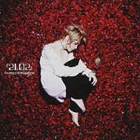 Acid Black Cherry By Tulle 1866 Acid Black Cherry By Tulle 1866