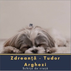 Zdreanţă - Tudor Arghezi - Schite de viata