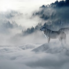 So Cold(prod. by Feelo)