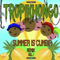 Summer is Cumbia Vol 02 by TropiKhongo - La Campanera Dub ( full compilation on bandcamp )