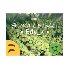 EDY_K- Buma Legal(original mix).mp3