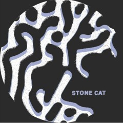 SFT 006 - Nas1 - Stone Cat Ep ( Incl. Marcellus Pittman Sexual Pulse Rmx )