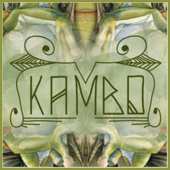 Balancing Remedies Vol.7 feat. IAN WILLINK - Kambo medicine | 31/08/2017