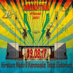 Hoppmann & Fehrstädter @ Sommernachtstrauma 2017, Akt 4 | JAZ Rostock