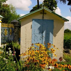 Die Blumen blühen noch immer