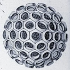 Refractions 2017-09-01