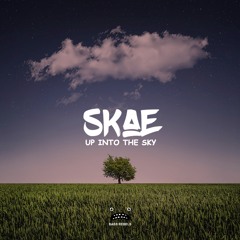 Skae - Up Into The Sky [Bass Rebels Release]