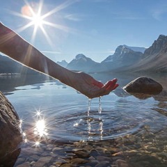 Cleanse - ft. Emily Coy / Paploviante