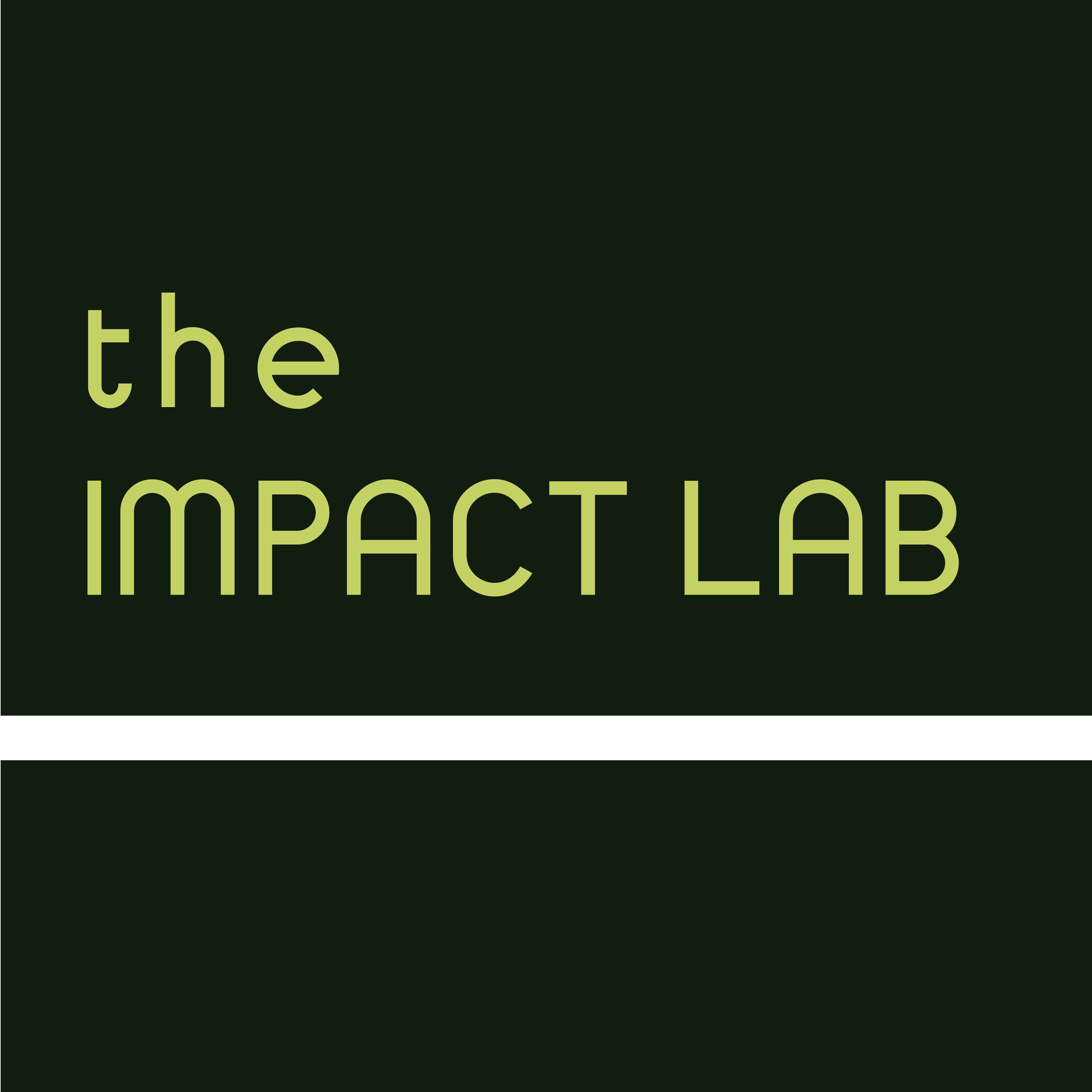 The Impact Lab