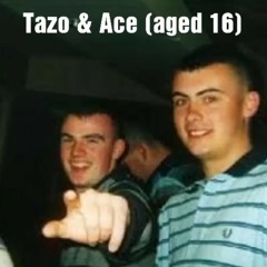 Tazo b2b Ace