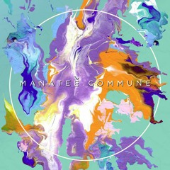 Avacado Toast - Manatee Commune (idle.current remix) [unofficial]