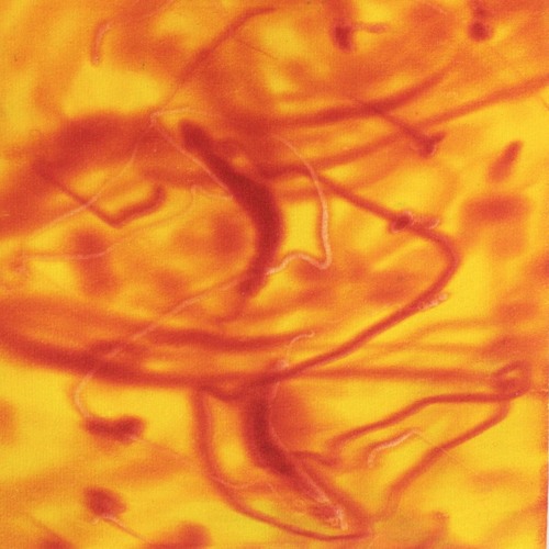 VOYAGER