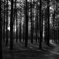 Agent Fresco - Anemoi (Cats Never Die & Hardash Cover)