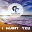 Cocoche - I Want You (Official Audio)