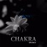 Chakra (Original Mix) - DJ GRINEX [OUT NOW!]
