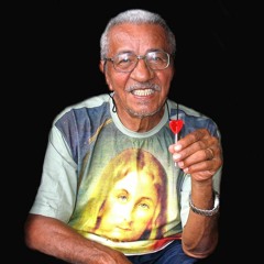 18 - Na harmonia da floresta