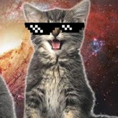 Space Cats - Magic Fly  Dubstep Remix