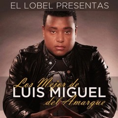 Los Mejor De Luis Miguel Del Amargue