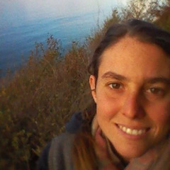 Everyone is Carrying Water