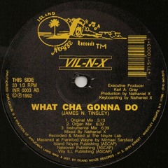 VIL-N-X - What Cha Gonna Do (Skip The Disco edit)