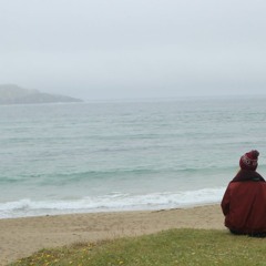 Villagers - Nothing Arrived (Cover)