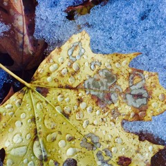 Wilkeson Point feat. Kevin Scarborough