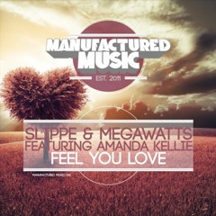 Slippe & Megawatts Feat. Amanda Kellie - Feel You Love