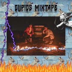 Digital Dolphins (Mixtape Version)