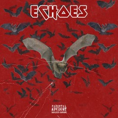Echoes (Prod. Razor Boomarang)(Official Music Video In Description)