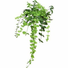 when u called me,, it was raining. when i called you, it stopped.