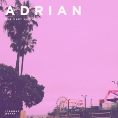 The Mary Nixons - Adrian (Icehunt Remix)