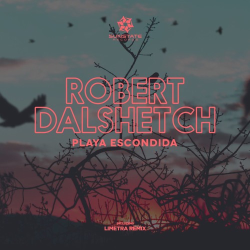 SNS087 : Robert Dalshetch - Playa Escondida (Original Mix)