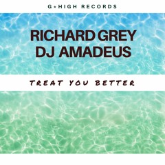 Richard Grey & DJ Amadeus - Treat You Better (Radio Edit)